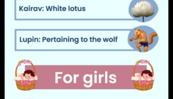 أحلام الأقحوان: أسماء أطفال مبهجة مستوحاة من الزهور