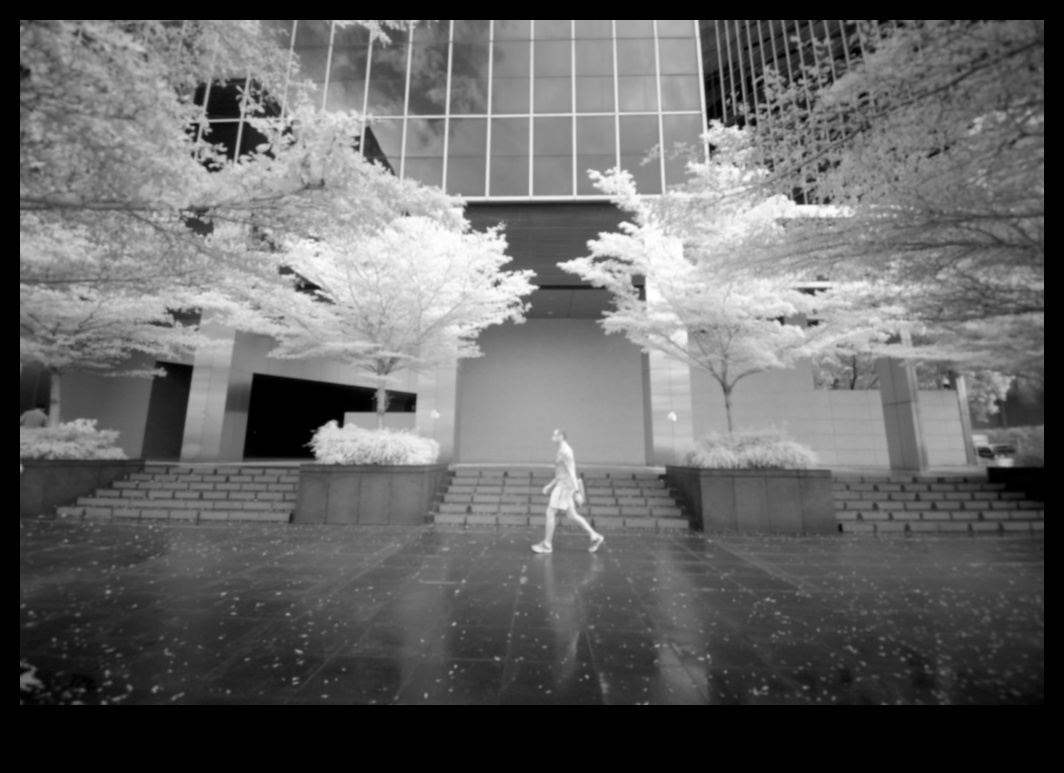 رؤى الأشعة تحت الحمراء: استكشاف فن التصوير الفوتوغرافي غير التقليدي