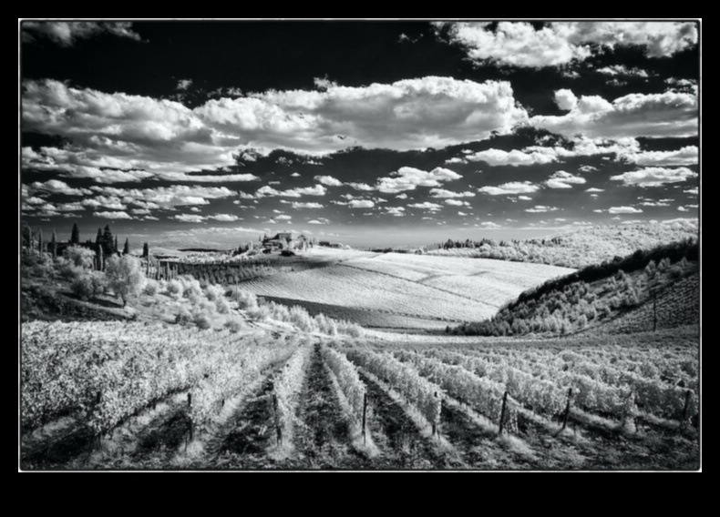 رؤى الأشعة تحت الحمراء: استكشاف فن التصوير الفوتوغرافي غير التقليدي