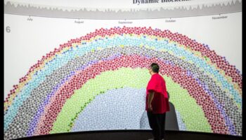 التصاميم الديناميكية: تصور المعاملات باستخدام حلول Blockchain التفاعلية