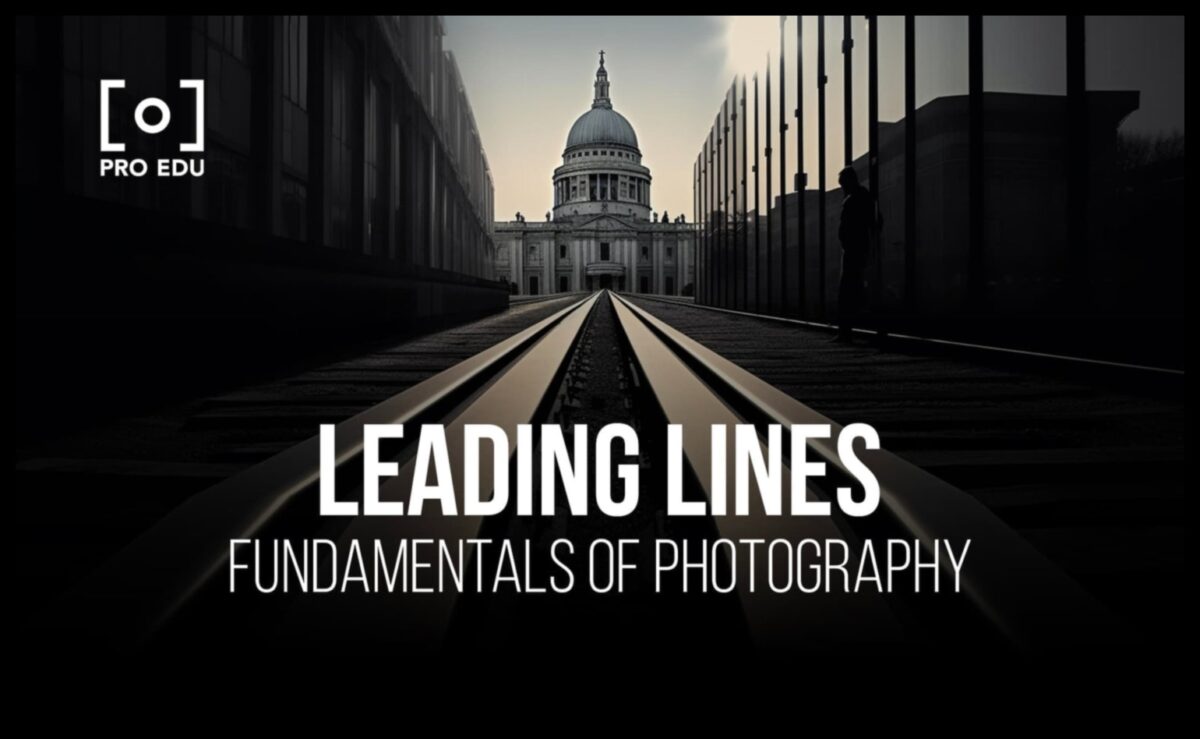 الشكل يتبع التركيز: ارفع مستوى مهاراتك في تألق التصوير الفوتوغرافي