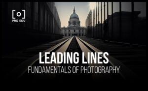 الشكل يتبع التركيز: ارفع مستوى مهاراتك في تألق التصوير الفوتوغرافي