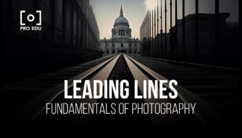 الشكل يتبع التركيز: ارفع مستوى مهاراتك في تألق التصوير الفوتوغرافي