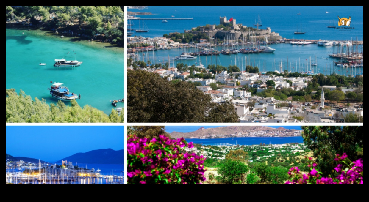 رحلات نابضة بالحياة: سيمفونية الألوان في التصوير الفوتوغرافي للسفر