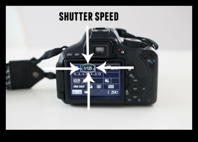 إطلاق العنان لسرعة الغالق: نصائح احترافية لتحقيق نتائج صور ديناميكية