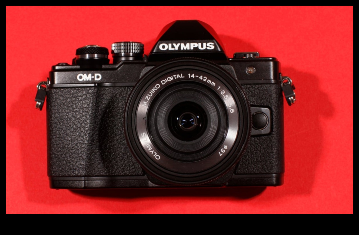 أبعد من الميجابكسل، ارتق بصورك الفوتوغرافية إلى المستوى التالي 5 ما وراء الميجابكسل: ارفع مهاراتك في العصر الرقمي للتصوير الفوتوغرافي