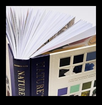 لوحة الطبيعة: أساليب التصوير الفوتوغرافي لالتقاط الأنفاس مستوحاة من الهواء الطلق