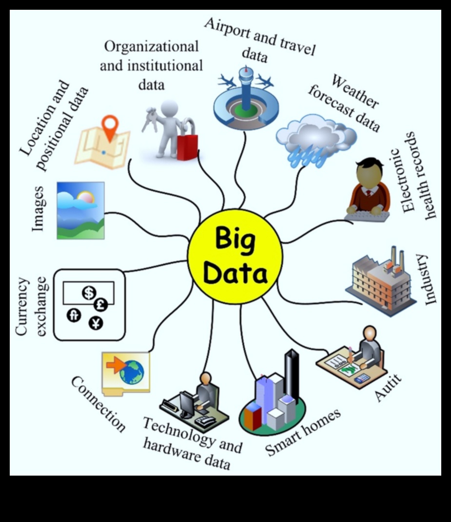 من البيانات إلى التشخيص: دليل شامل لتكنولوجيا المعلومات الصحية